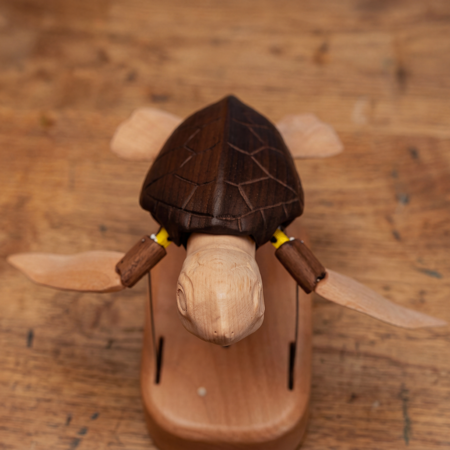 Handmade Premium Moving Turtle